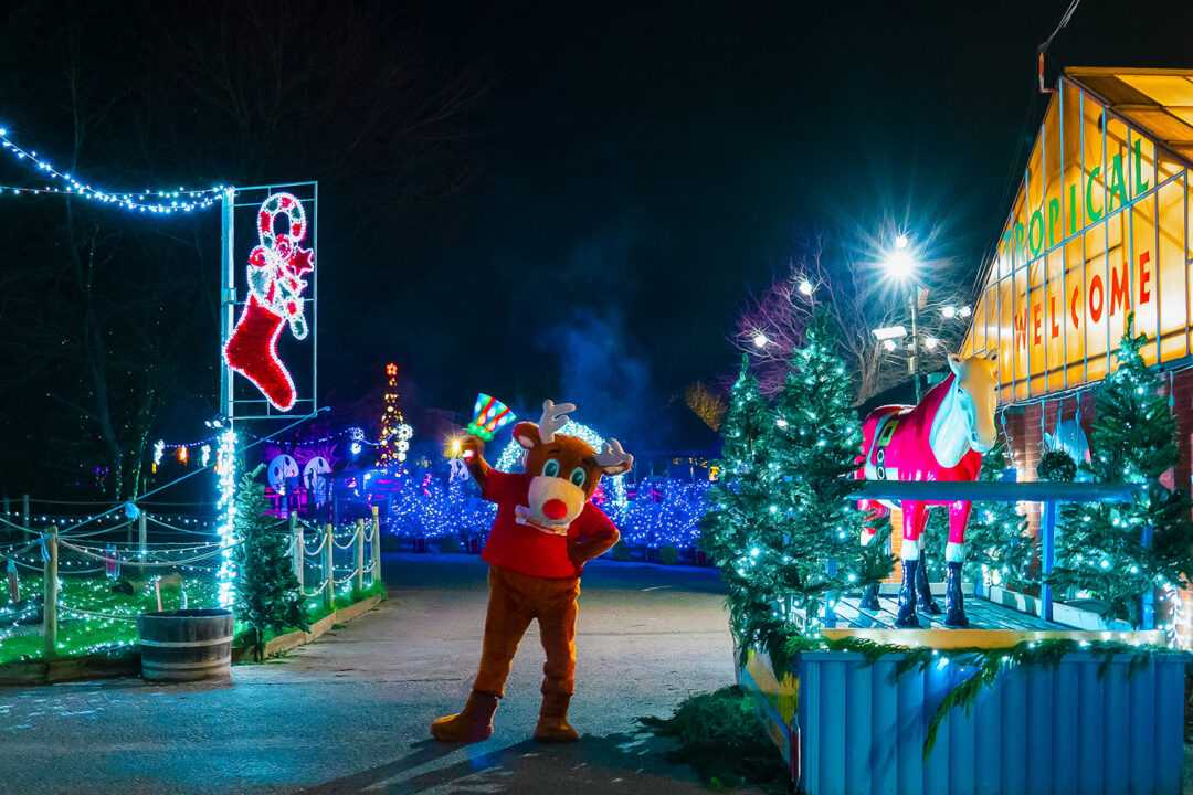 WG-Rudy-Illuminations