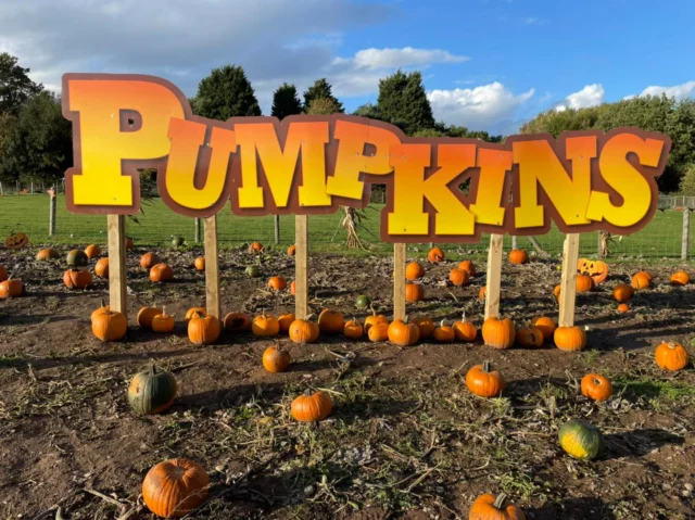 Bumpkins Pumpkins opens this weekend!🎃

Join us this weekend for Grandparents enter free, PYO pumpkin for every child, the Witch Wagon, and meet Millie the Monster!🧙

Wheelgate Family Halloween Spooktacular is the ultimate family day out this Halloween! 👻

Secure your tickets now! 🎢