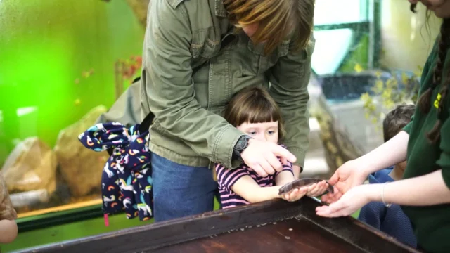 Wheelgate Family Halloween Spooktacular starts THIS WEEKEND!🎃

Join us for FREE PYO pumpkin for every child in Bumpkins Pumpkin Patch, see Grizelda the friendly witch in our Witch Wagon plus over 30 rides and attractions - something for the whole family to enjoy👀

Book online and save BIG 🌟

www.wheelgatepark.com