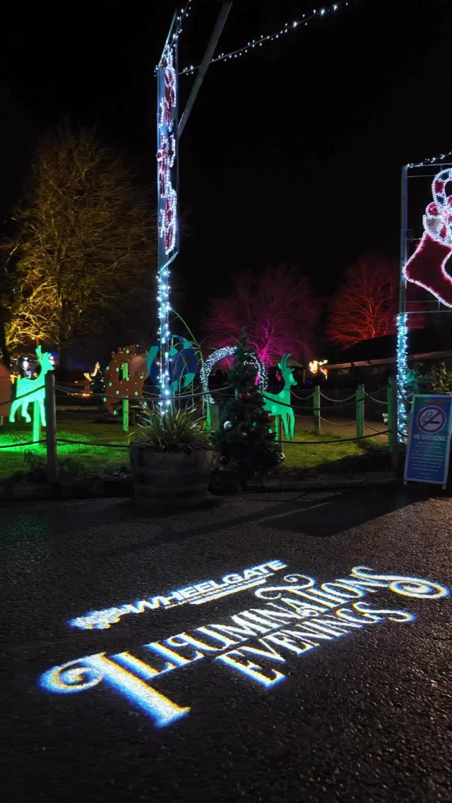 Experience the magic of Wheelgate Ride & Light Illuminations 🌈 with lights, music, FIRE, thrilling rides 🎢 and amazing animals 🦙 — all in one unforgettable family night out!
Don’t miss your last chance to soak up the atmosphere and make magical memories ✨
🎟️ Just 2 nights to go!
.
.
.

#WheelgatePark #RideAndLight #Illuminations #LightsMusicFire #FamilyFun #NottsEvents #FamilyNightOut #RidesAndAnimals #LastChance