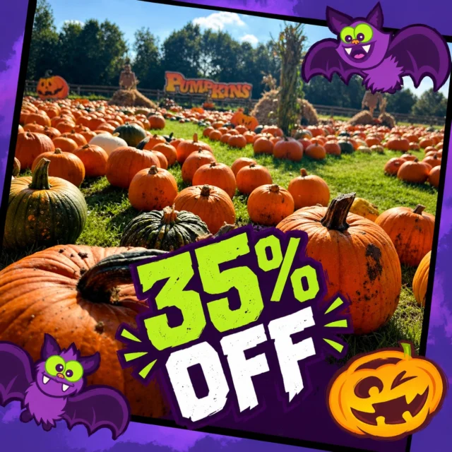35% Off Halloween tickets!🤩

Visit us this halloween and save 35% when you use code: HALLO35

With FREE PYO pumpkin for every child🎃, The Witch Wagon🧙‍♀️, and over 30 rides and attractions!🎢 There's never been a better time to visit!🤩

www.wheelgatepark.com

*35% off our gate price, T&C's apply.